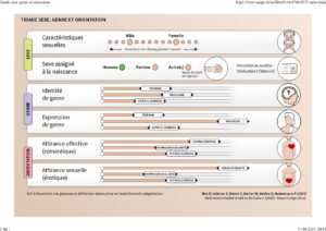Schéma explicatif de la triade sexe, genre et orientation, illustrant les dimensions biologiques, identitaires et relationnelles, avec des curseurs représentant la diversité du développement sexuel, de l'identité de genre, de l'expression de genre et des attirances affective et sexuelle.